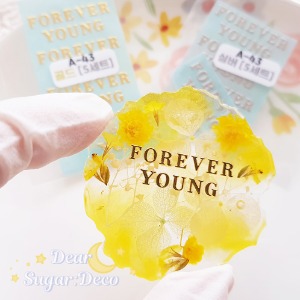 FOREVER YOUNG 금속 스티커(5개)